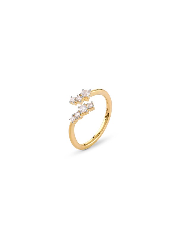 Ženski prsten Jardin od srebra 925 sa prevlakom od 18k zlata i cirkonima. Elegantni Guess prsten u veličini 52, savršen za svakodnevno nošenje.