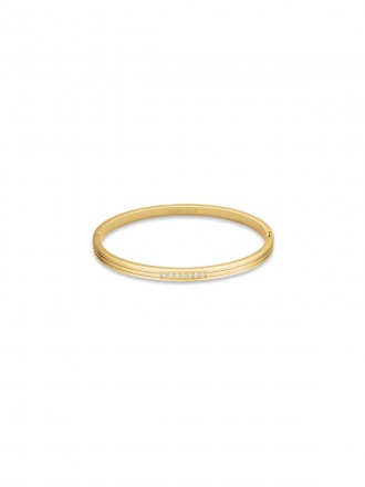 STRIPED CRYSTAL BANGLE JBSCG-J1037